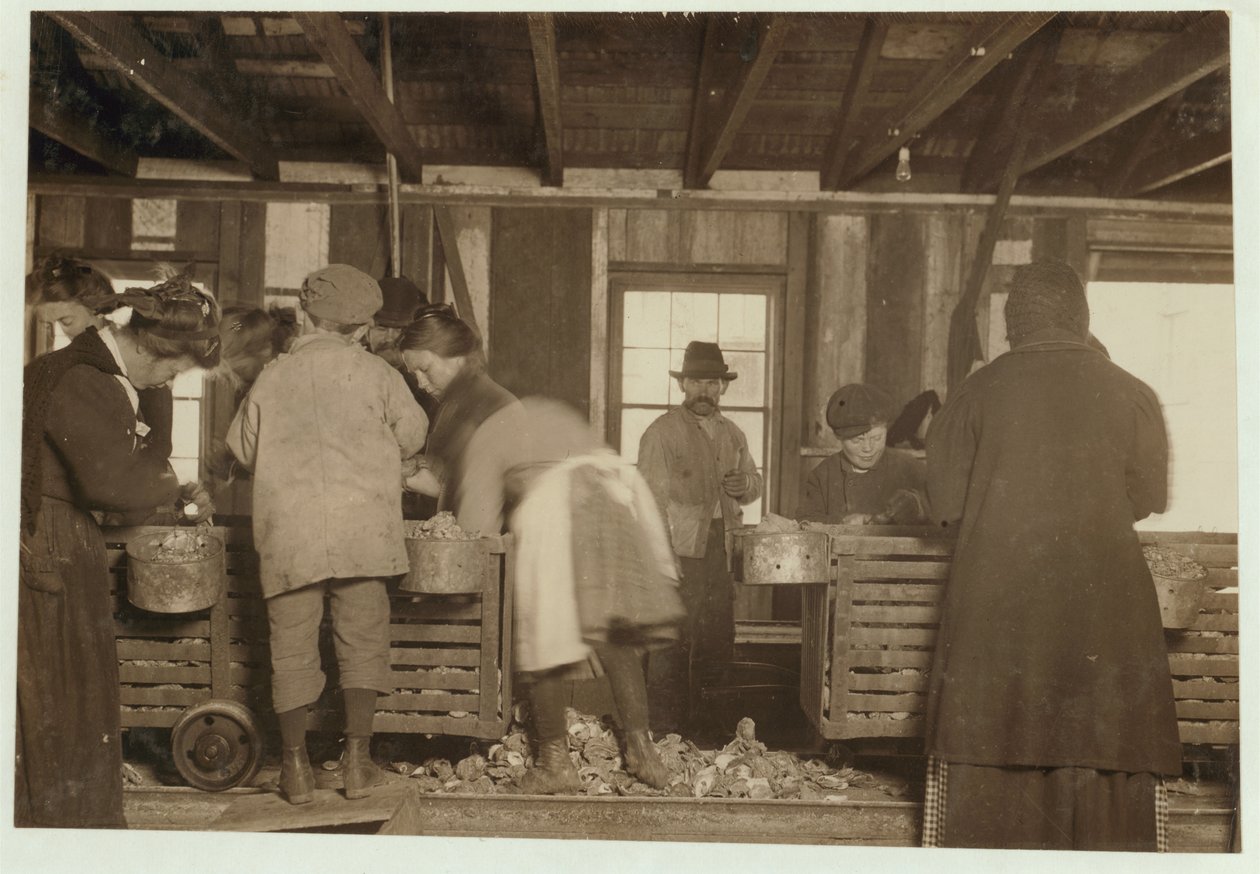 A 10 éves Mike Murphy, a 7 éves Annie Healy és a 10 éves Ross Healy (aki 2 éve dolgozik) az Alabama Canning Co-nál, Bayou La Batre, Alabama, 1911. alkotó: Lewis Wickes Hine