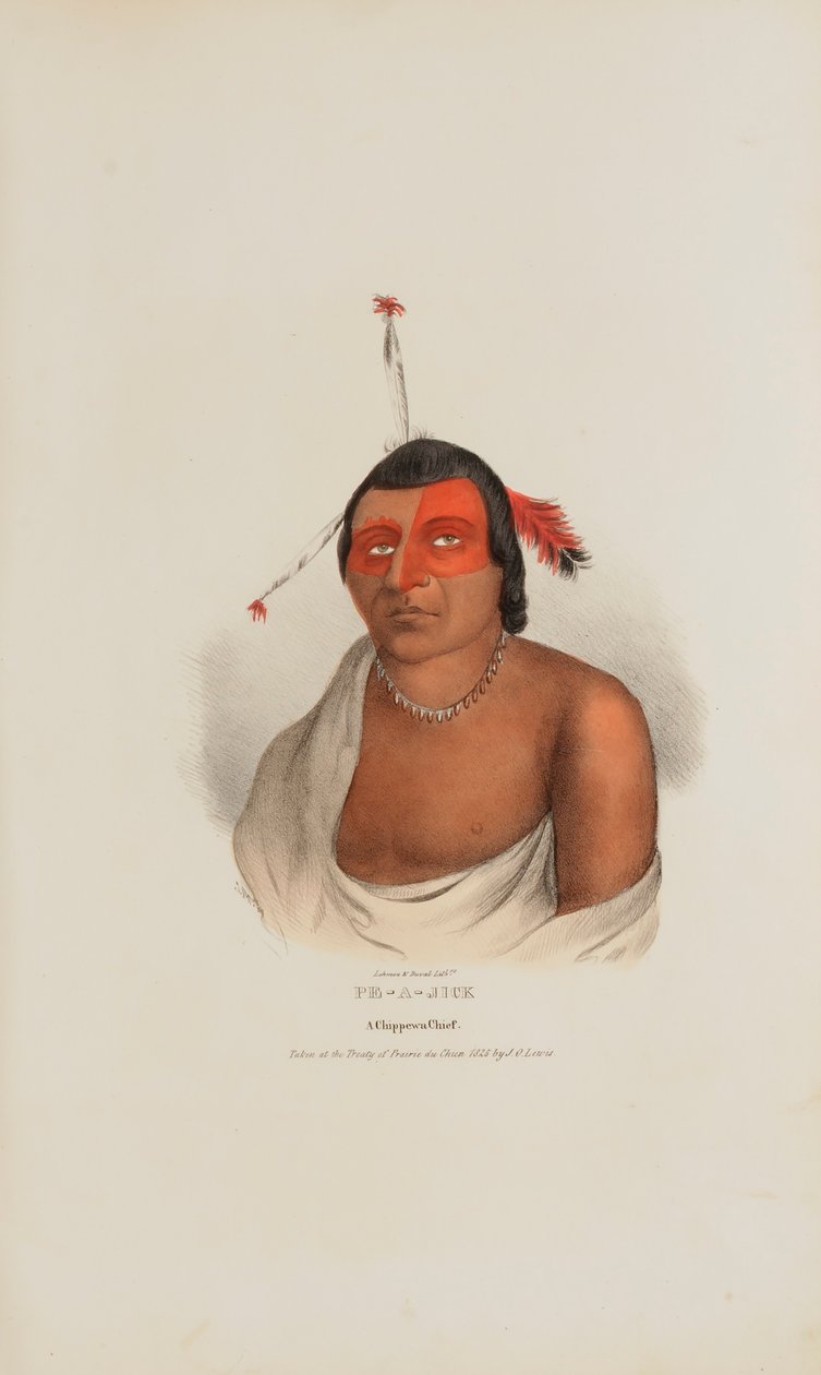 PE-A-JICK; A Chippewa Chief, a The Aboriginal Portfólióból alkotó: Lewis, James Otto