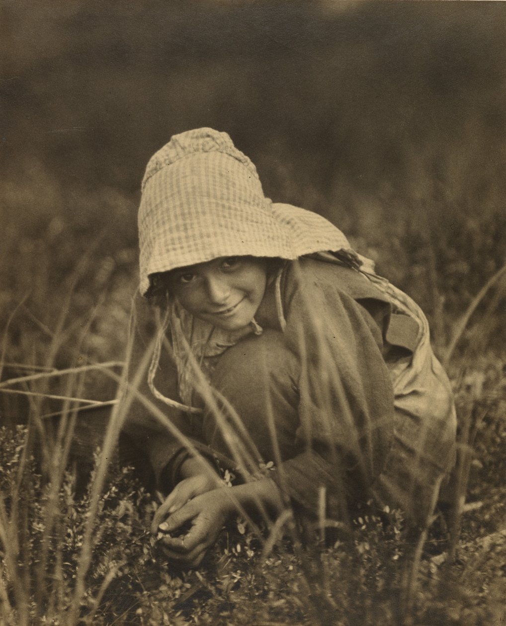 Cranberry Picker, New Jersey alkotó: Lewis W. Hine
