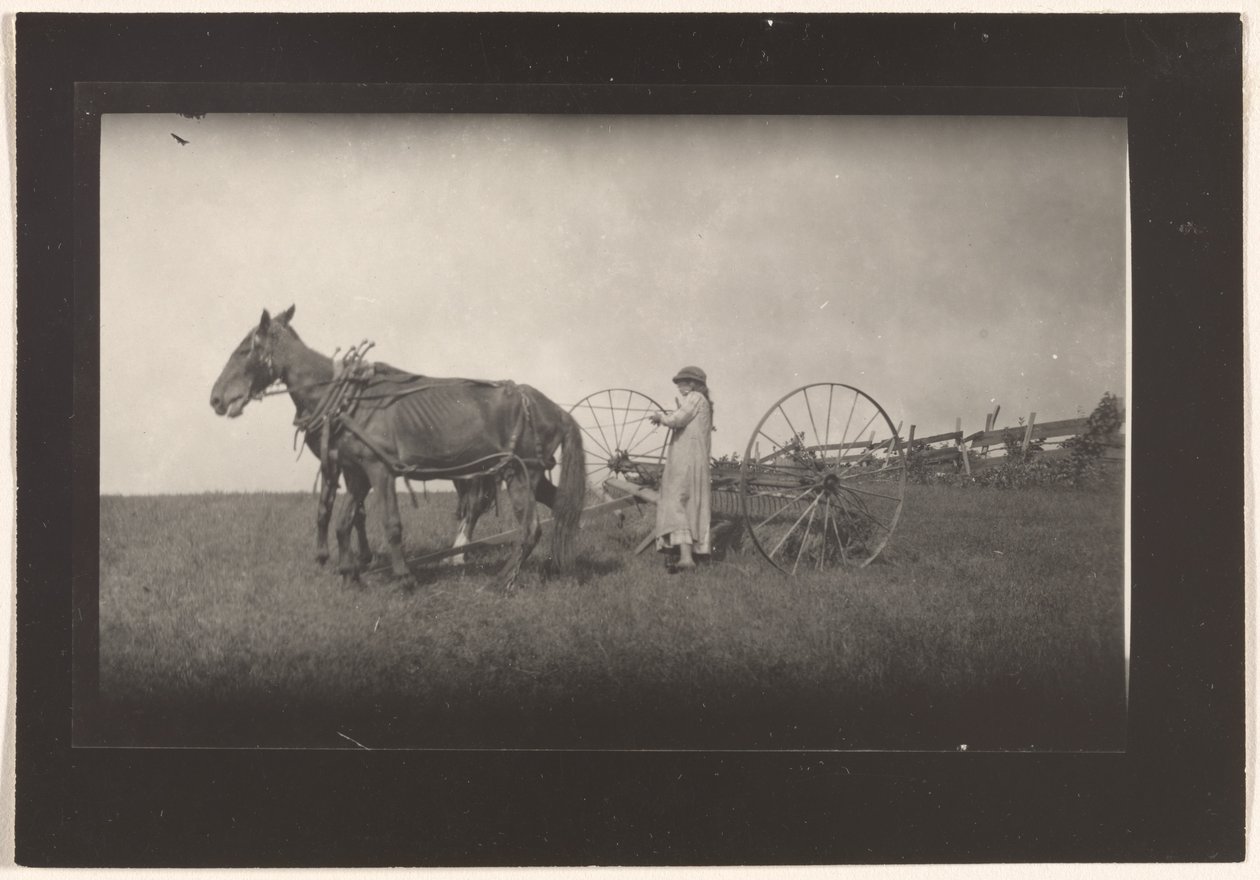 [Farm Scene, Massachusetts] alkotó: Lewis W. Hine