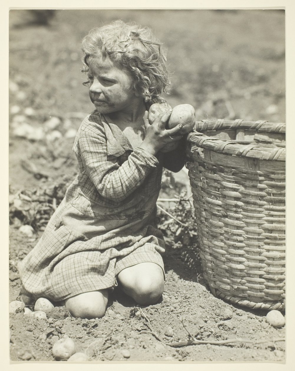Gyermekmunka a gazdaságban alkotó: Lewis Wickes Hine