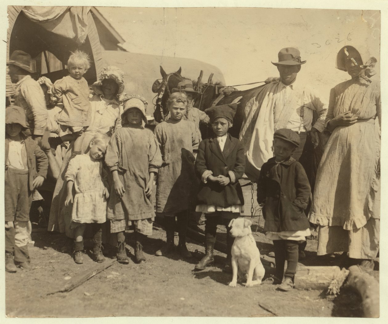 Vándorló gyapotszedők elhagyják a texasi McKinney melletti farmot, miután napi másfél bála gyapotot szedtek, 1913 alkotó: Lewis Wickes Hine