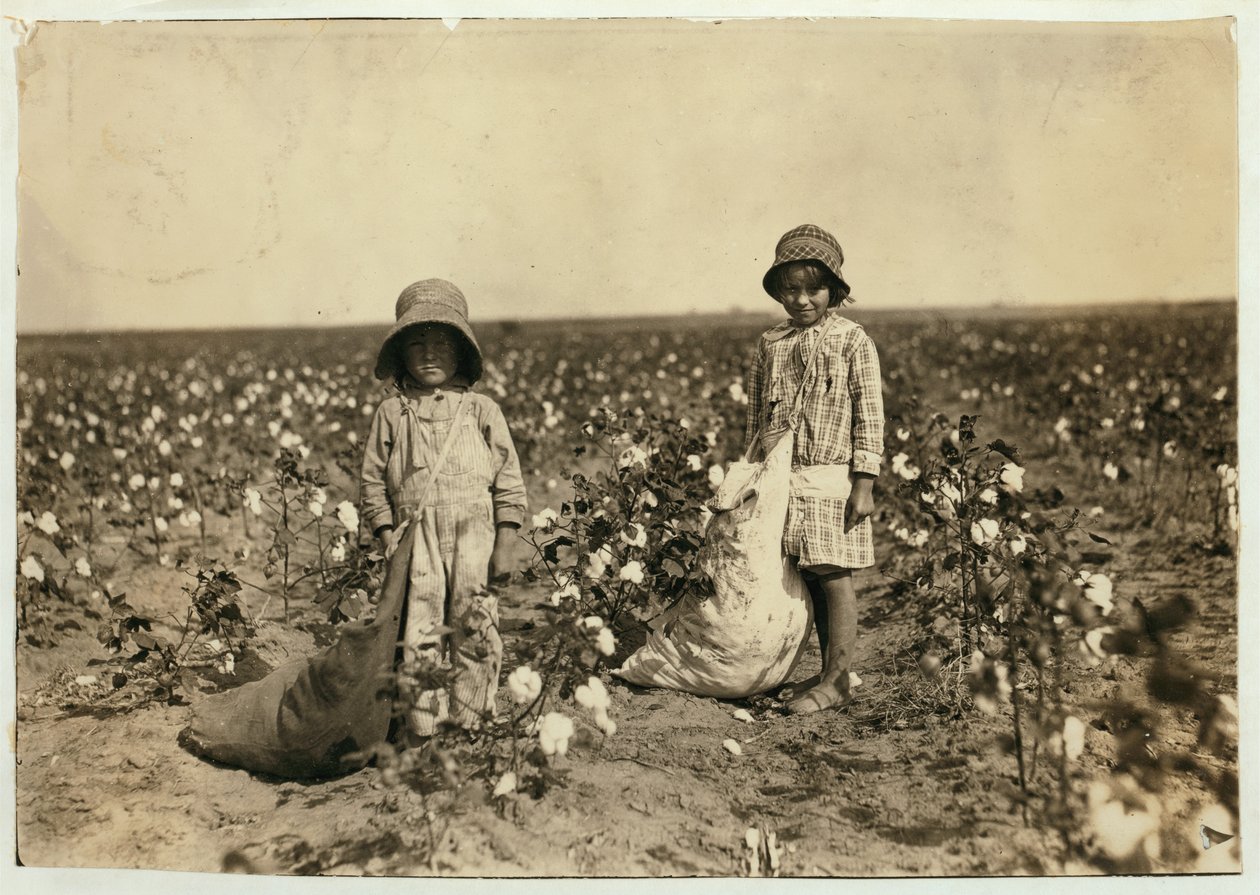 Jewel és Harold Walker, 6 és 5 évesek, napi 20-25 kiló gyapotot szednek Geronimo-ban, Comanche megyében Oklahoma, 1916 alkotó: Lewis Wickes Hine