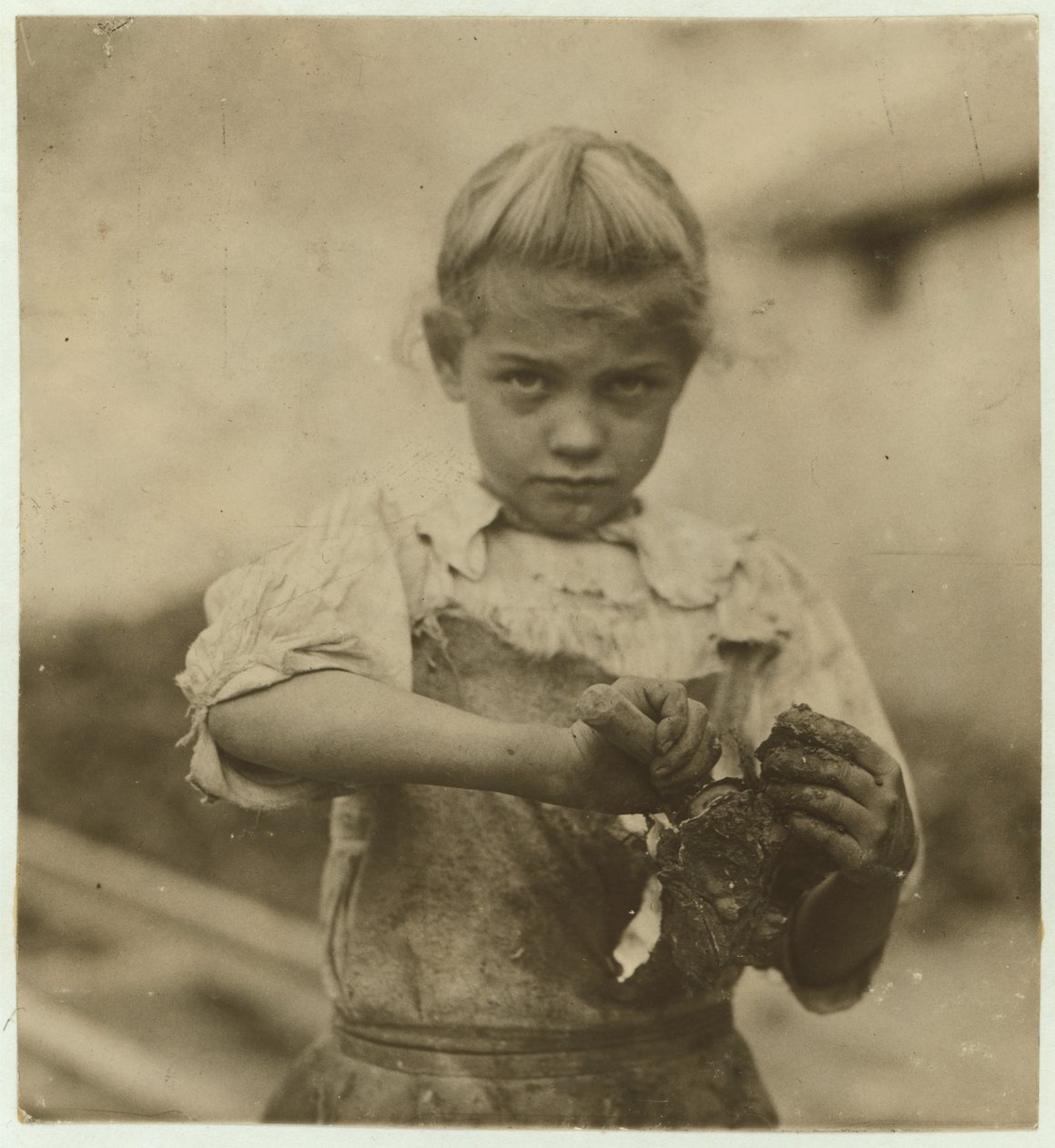 Rosie, 7 éves, írástudatlan, második éve dolgozik osztrigaszedőként a Varn und Platt konzervgyárban, Bluffton, Dél-Karolina, 1913. alkotó: Lewis Wickes Hine