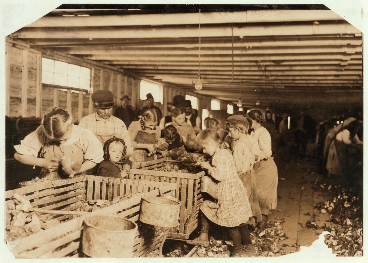 8 éves Rosy napi 14 órát dolgozik osztriga-suckerként a Dunbar Cannery-ban, Louisiana, 1911 alkotó: Lewis Wickes Hine