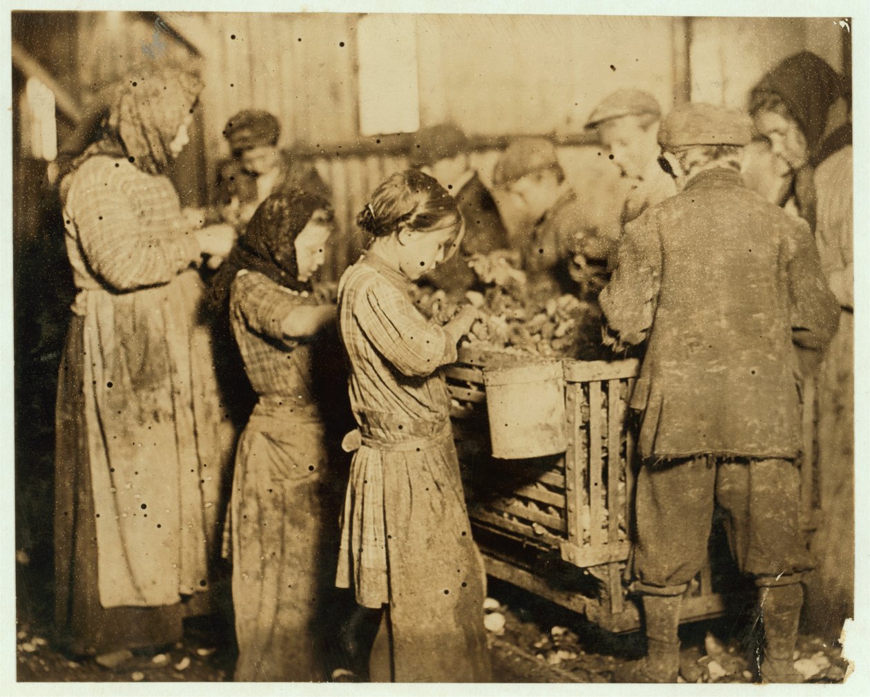 A Shuckers körülbelül 10 kinyíló osztrigát érett a Barn und Platt Canning Company-ban, Yonges Island, Dél-Karolina, 1913 alkotó: Lewis Wickes Hine