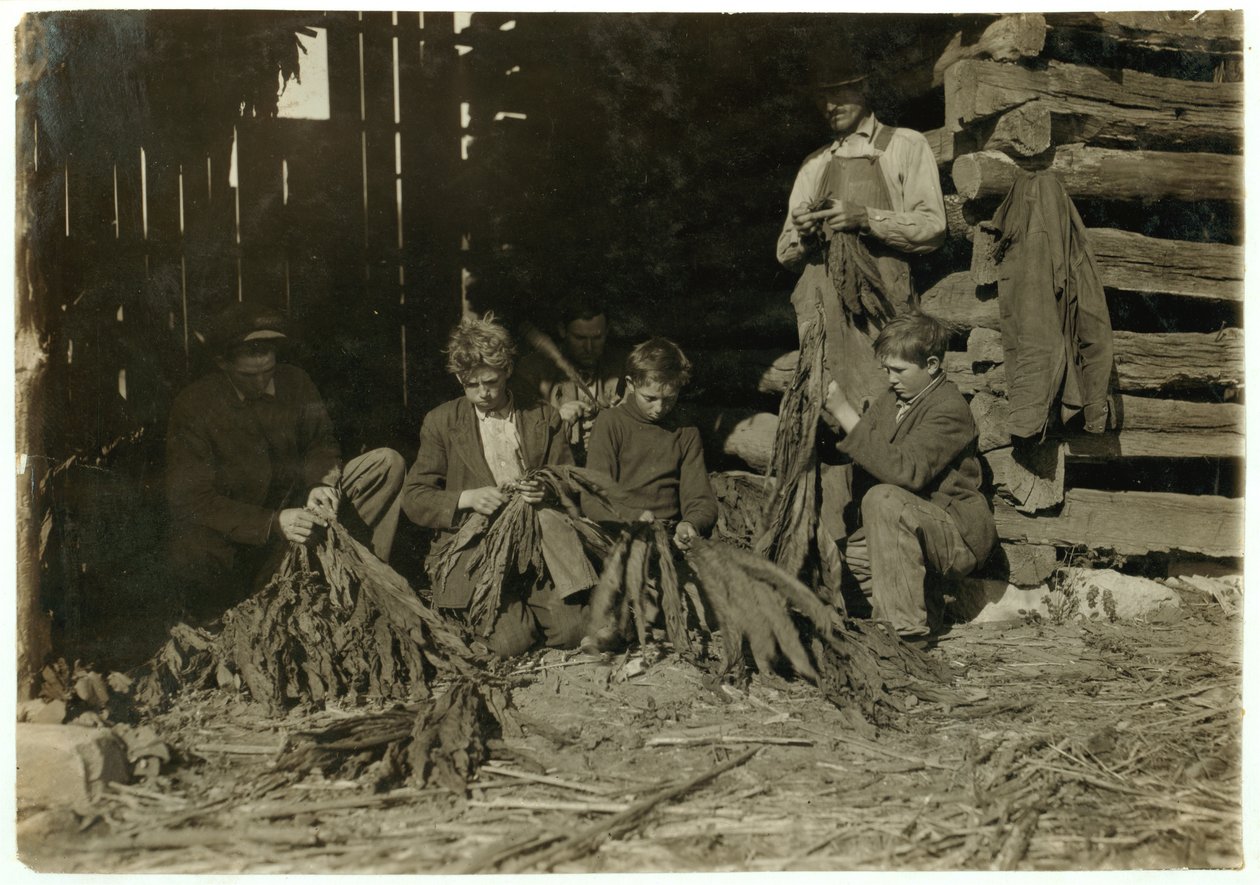 Fiai J.H. Burch 12, 14 és 17 évesen dohányzott iskolai órákban Warren megyében, Rockfieldben, Kentucky államban, 1916 alkotó: Lewis Wickes Hine