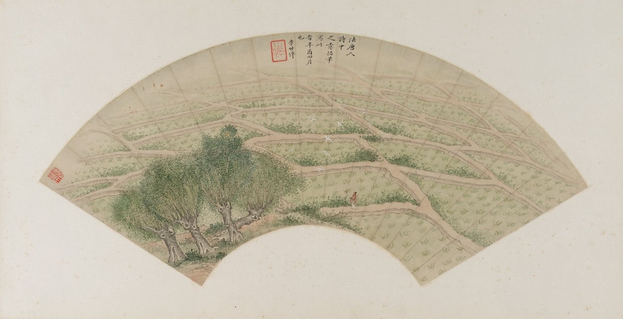Rizsföldek gémekkel, Qing-dinasztia, 1741 (tinta és szín a papíron) alkotó: Li Shizuo