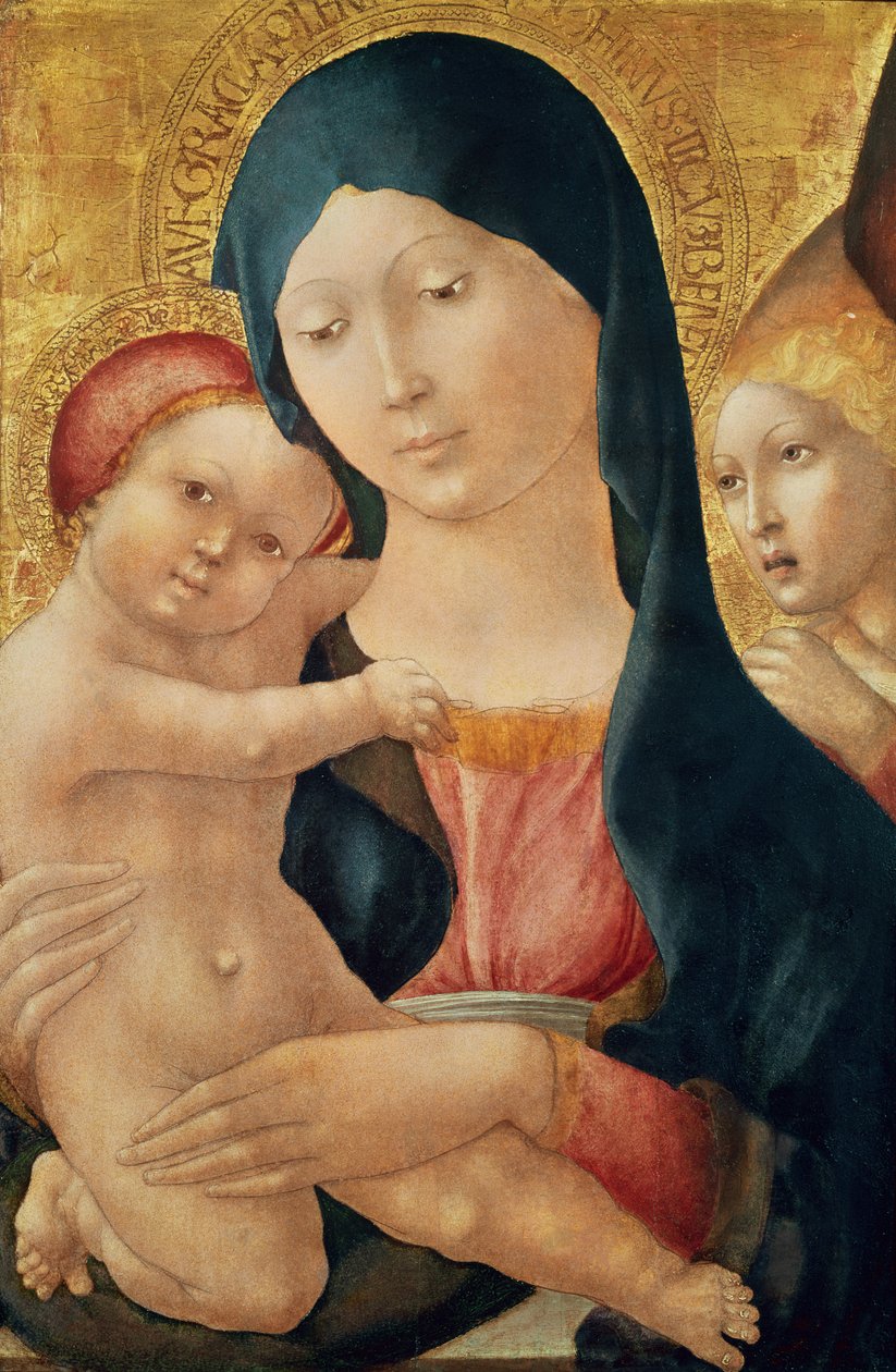 Szűz és gyermek angyallal, 1468-70 körül (tempera a panelen) alkotó: Liberale da Verona