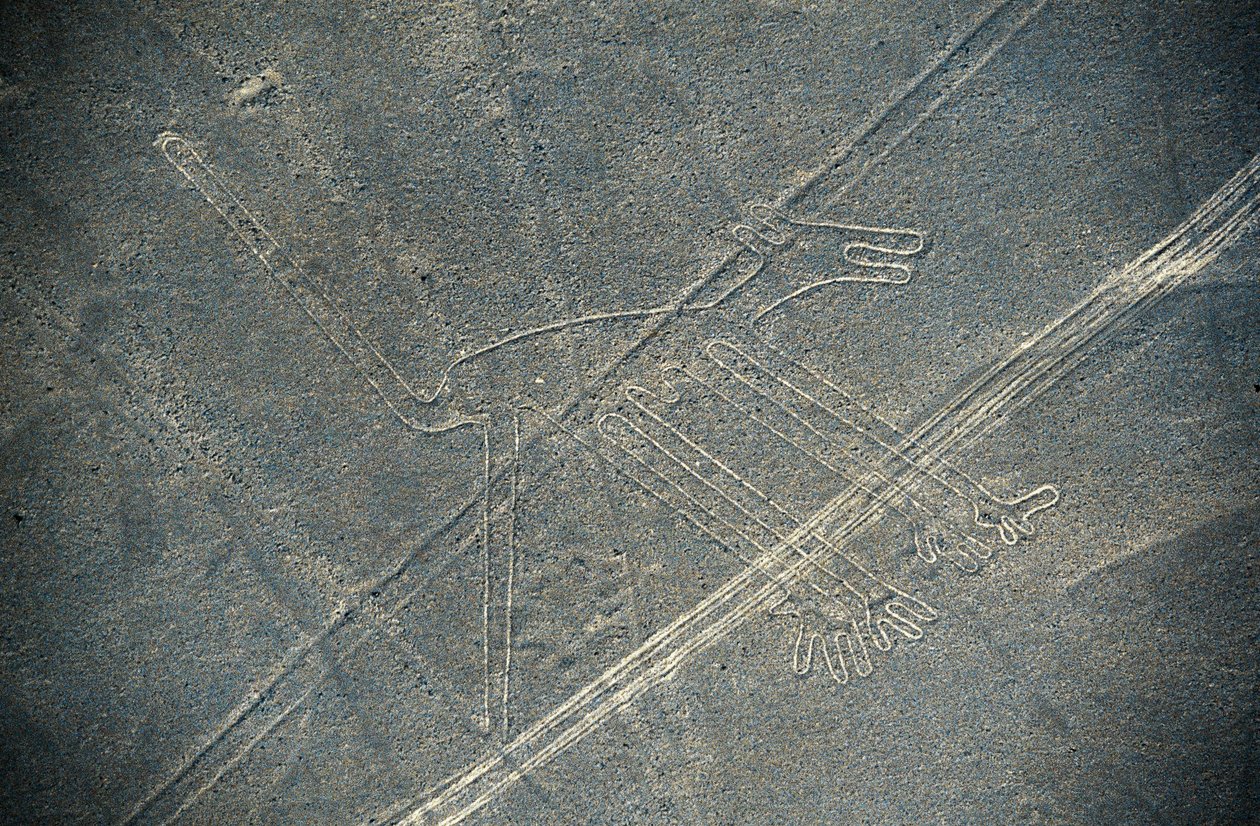 Kutya, Nazca vonalak, Nazca, Peru, Nazca civilizáció (fotó) alkotó: Unbekannt Unbekannt