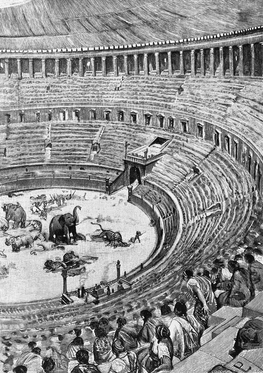 A Colosseum néven ismert Flavius-amfiteátrum felavatása Rómában i.sz. 80-ban, a közönség állatcsatát néz, illusztráció a Róma történelméből, Francesco Bertolini (1836-1909), Treves, Milánó alkotó: Unbekannt Unbekannt
