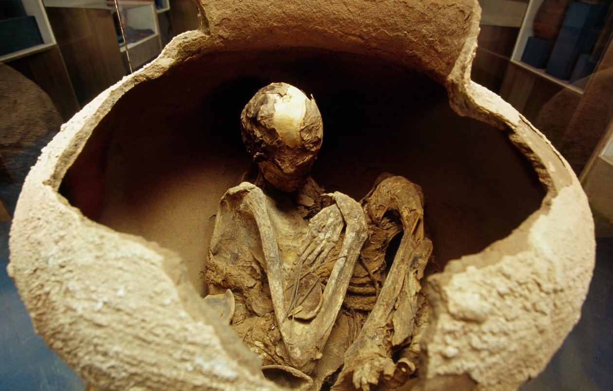 Múmia kerámia urnában. Atacama civilizáció, paleolitikum. alkotó: Unbekannt Unbekannt