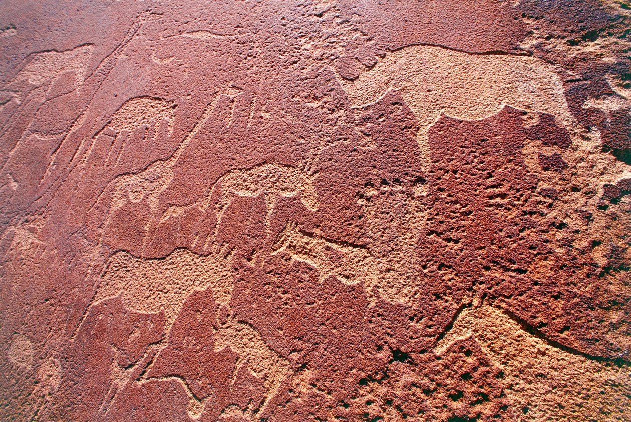 Namíbia, Damaraland vadon, Twyfelfontein, Brandberg-hegység, kőkorszaki sziklametszet alkotó: Unbekannt Unbekannt
