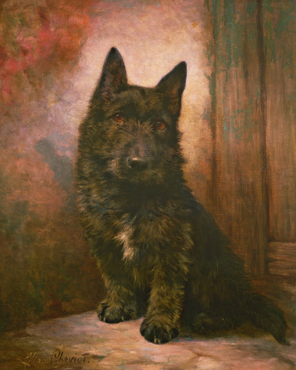 Scottie Puppy alkotó: Lilian Cheviot