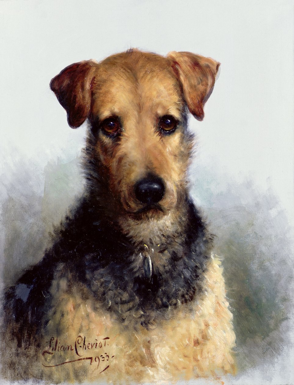 Drótfox terrier, 1933 alkotó: Lilian Cheviot