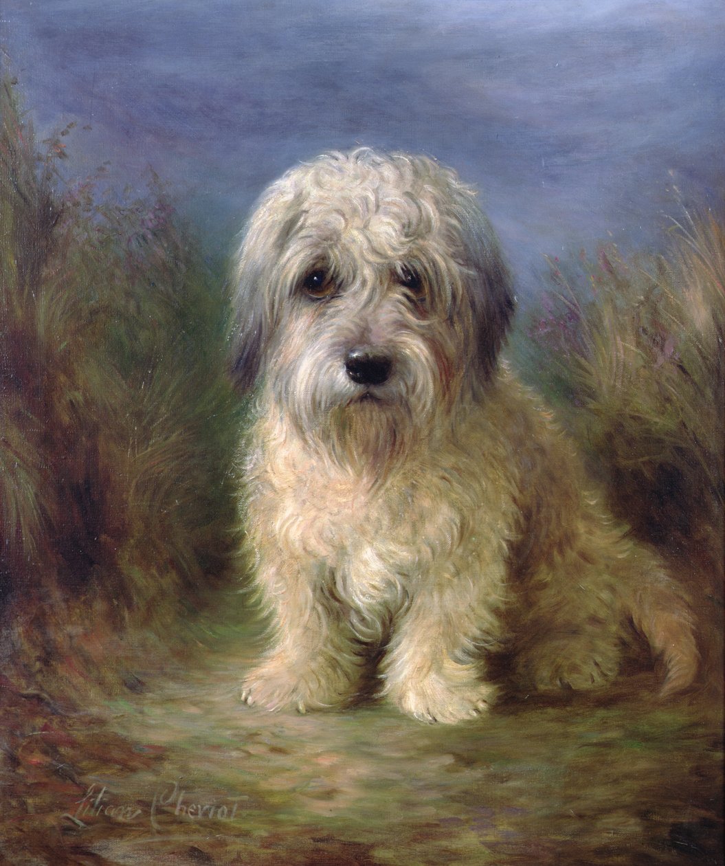 Dandie Dinmont terrier (olaj, vászon) alkotó: Lilian Cheviot