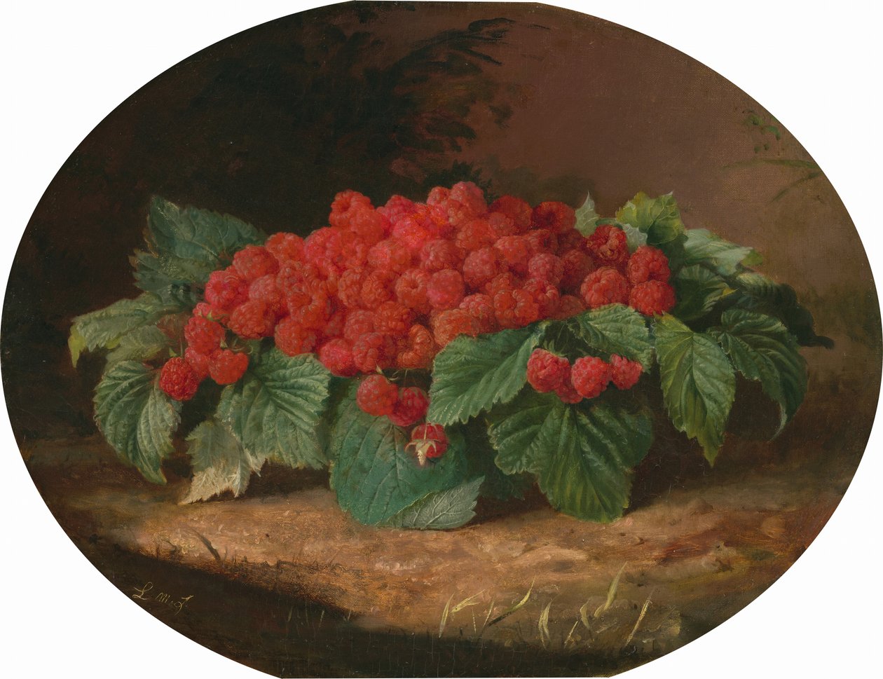 Málna, c. 1859. alkotó: Lilly Martin Spencer