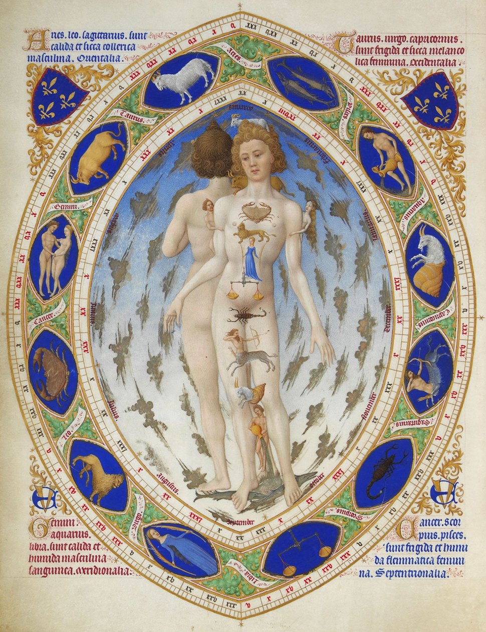 A Duke of Berry nagyon gazdag órái: Anatómiai ember alkotó: Limbourg Brothers