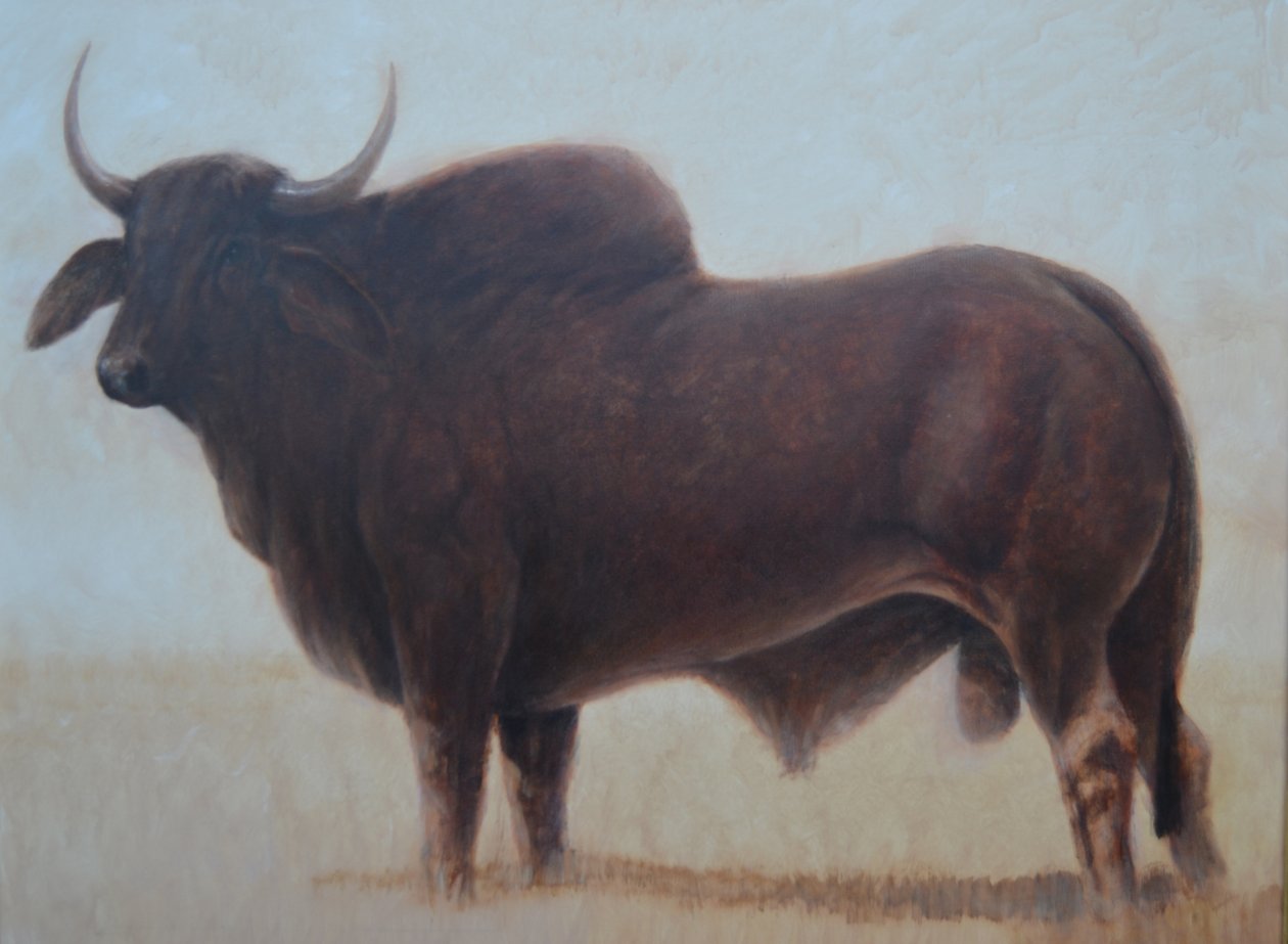 Brahmin Bull alkotó: Lincoln Seligman