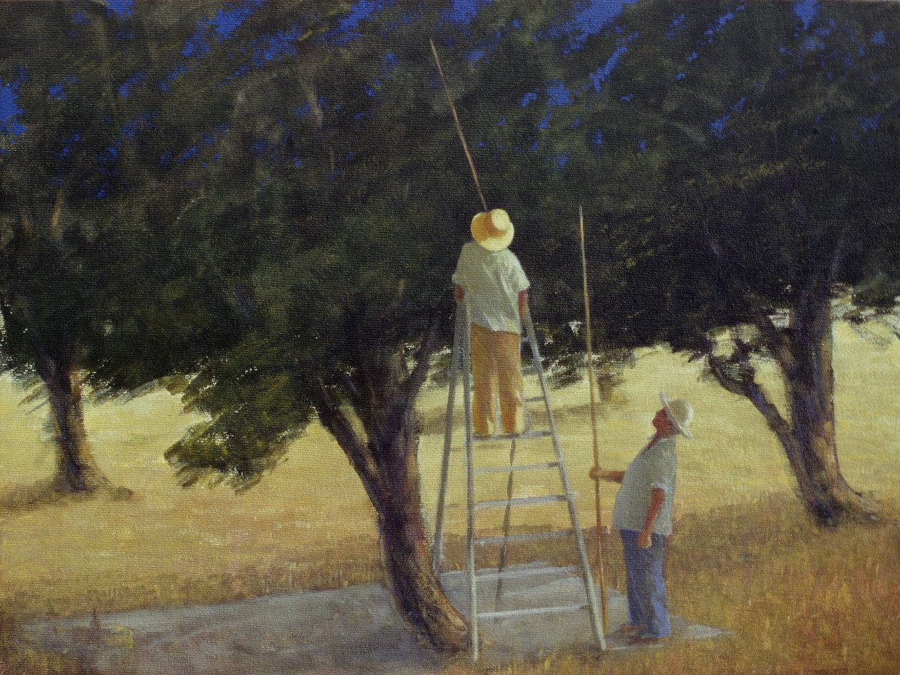 Olive Pickers, 1985 (akril, vászon) alkotó: Lincoln Seligman