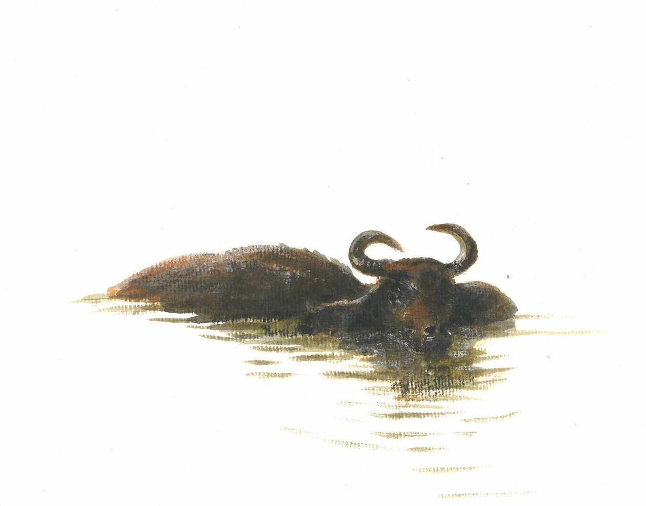 Water Buffalo 2, 2015 alkotó: Lincoln Seligman