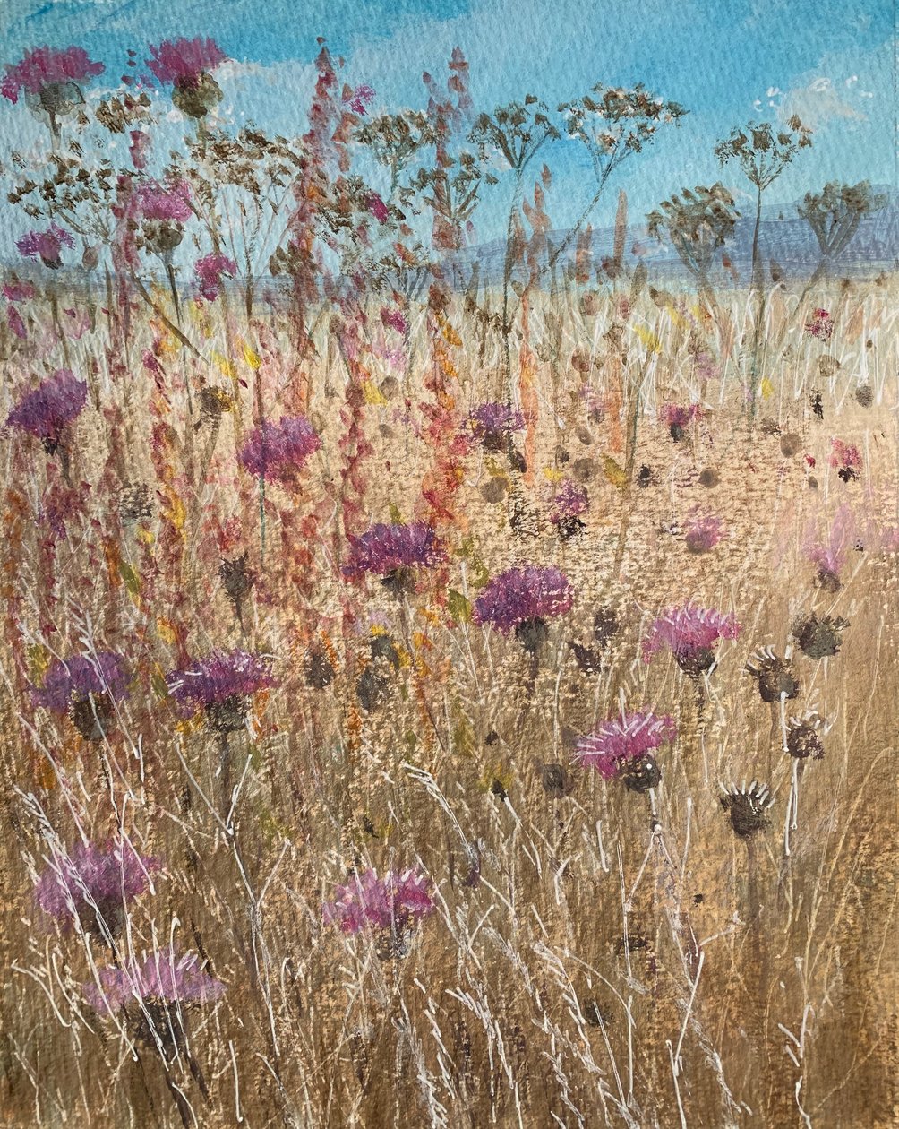Sötét Scabious alkotó: Lincoln Seligman