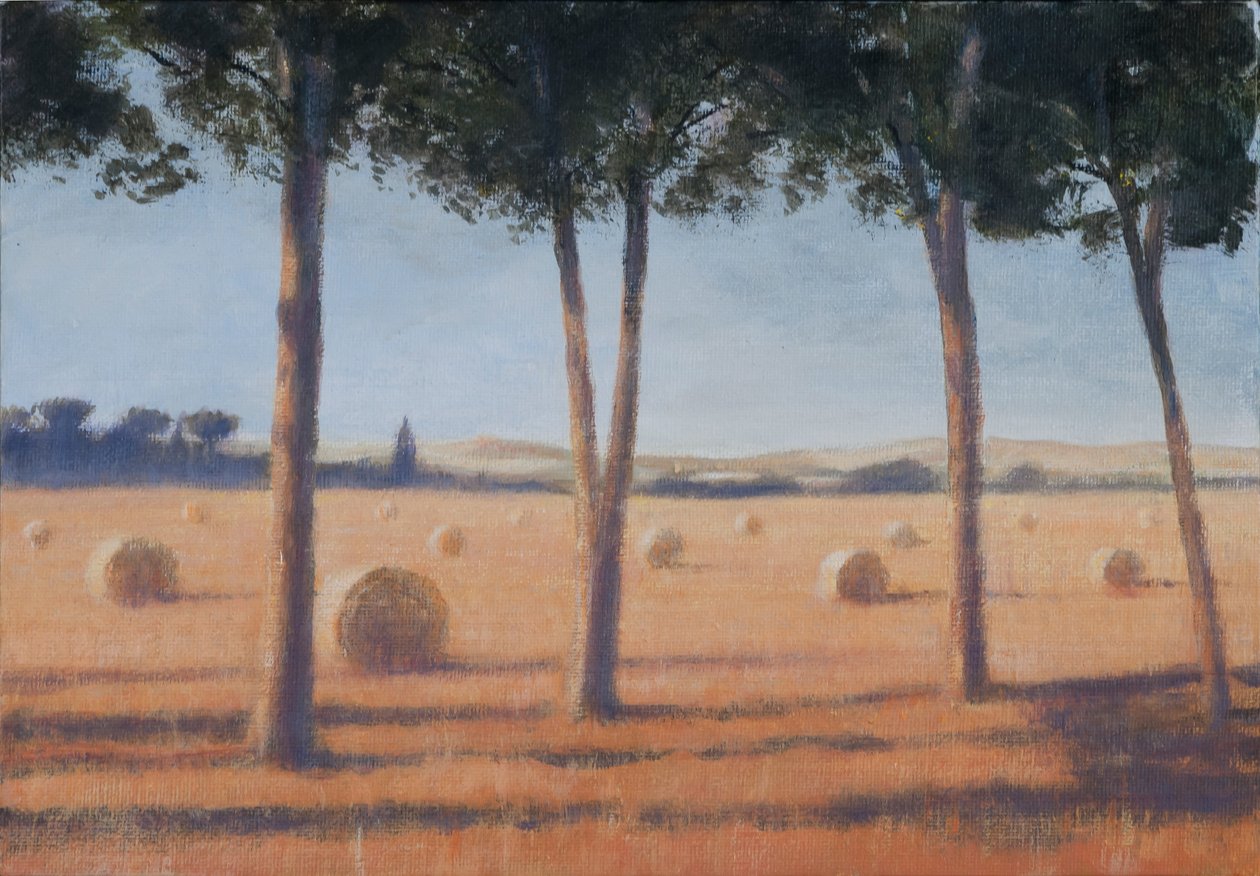 Szénabálák és fenyők, Pienza, 2012 (akril, vászon) alkotó: Lincoln Seligman