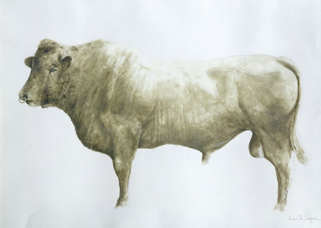 Islay Bull, 2004 (akril, vászon) alkotó: Lincoln Seligman