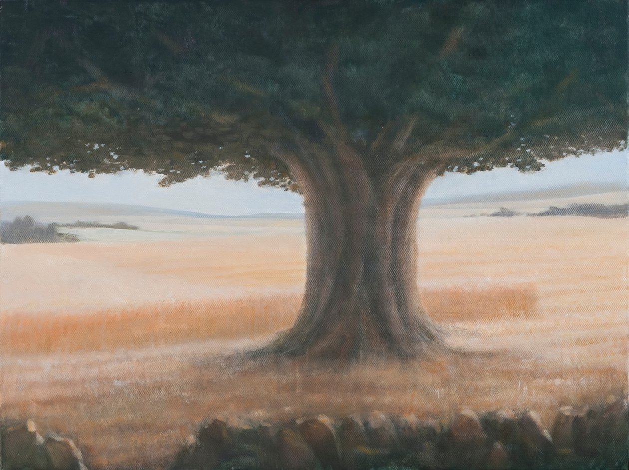 Tree, Holwell, 2012 (akril, vászon) alkotó: Lincoln Seligman