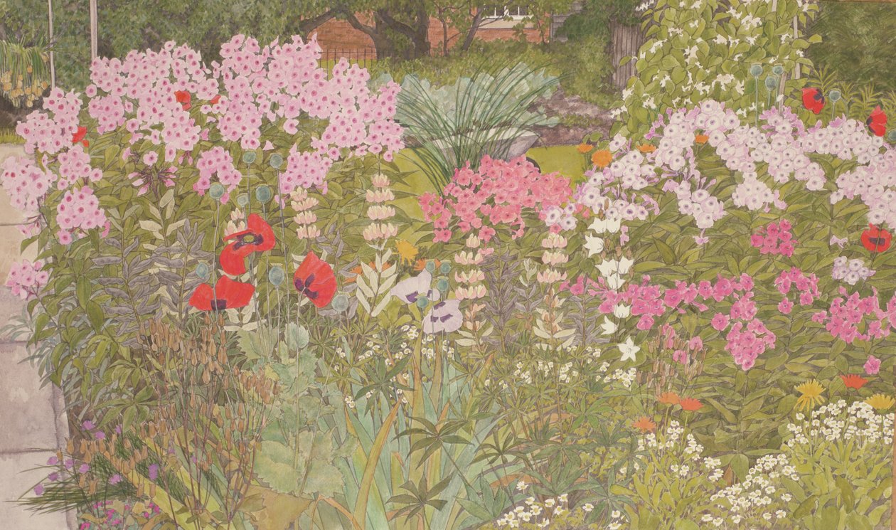 Rózsaszín Phlox a lágyszárú határán alkotó: Linda Benton