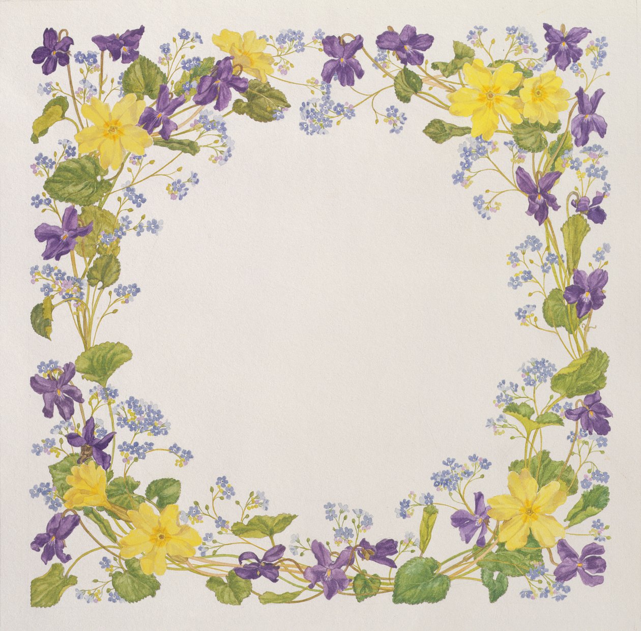 Primrose és Violet Square alkotó: Linda Benton