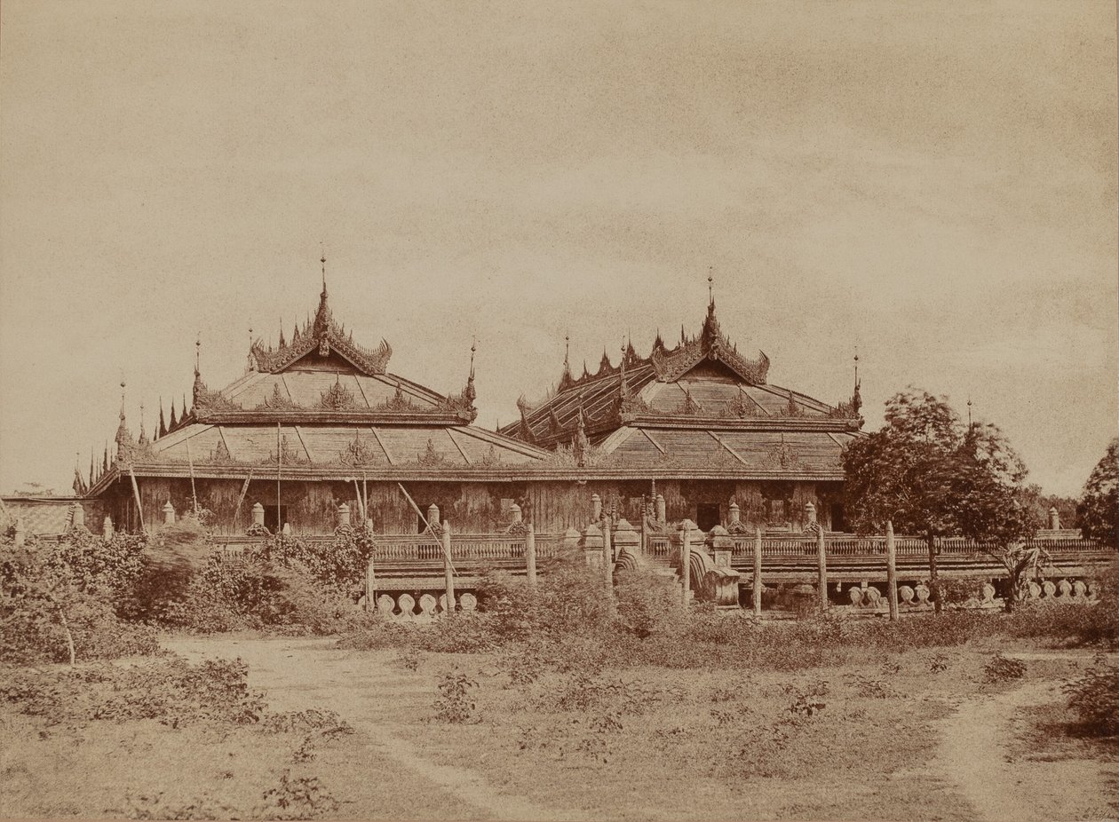 Amerapoora: Pyee road Kyoung alkotó: Linnaeus Tripe