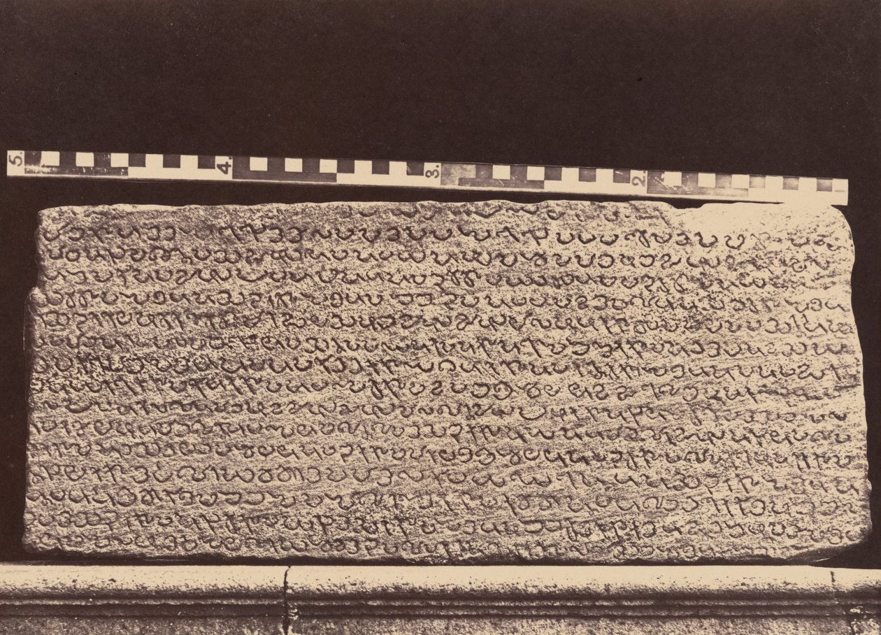 Elliot Marbles,1859 (fénykép) alkotó: Linnaeus Tripe