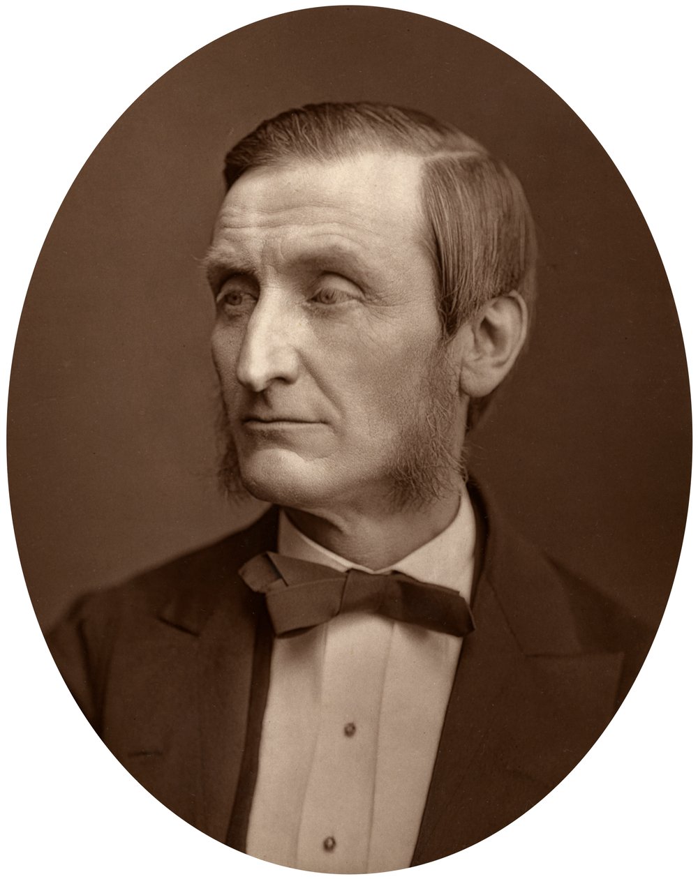John Hall Gladstone, a Chemical Society elnöke, 1880. alkotó: Lock and Whitfield