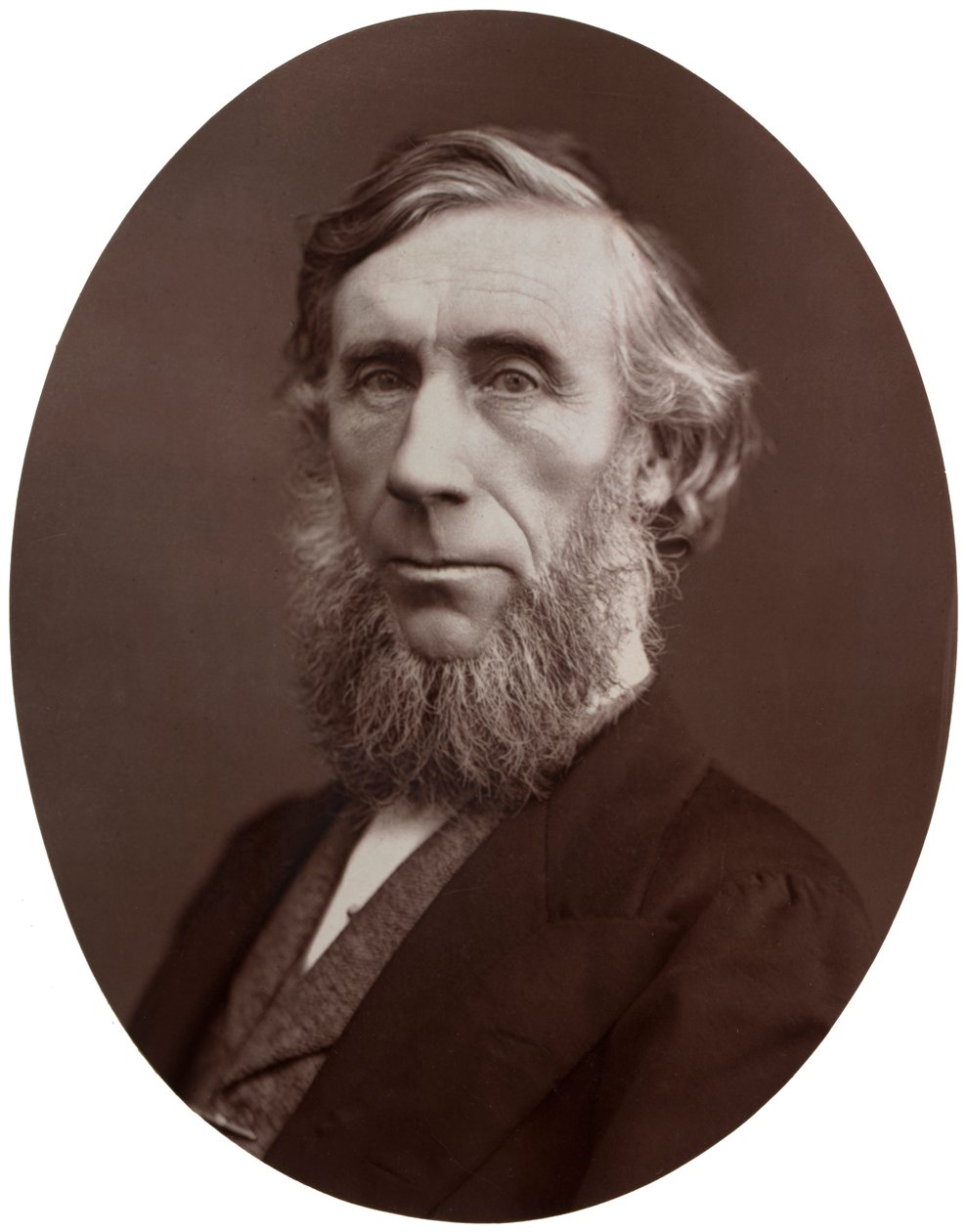 John Tyndall, DCL, LLD, FRS, a természetfilozófia professzora a Királyi Intézetben, 1877. alkotó: Lock and Whitfield