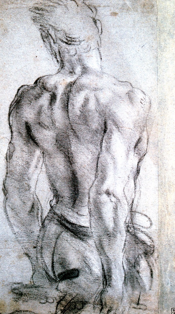 Egy ábra tanulmányozása, c1560-1609 alkotó: Lodovico Carracci