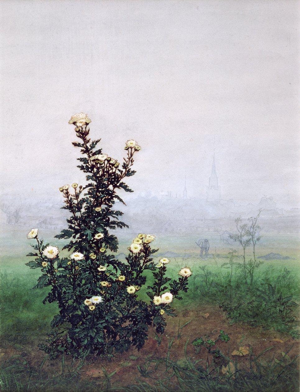 Virágzó krizantém munkással, 1863 (wc, gouache, toll, tinta és ceruza papíron) alkotó: Léon Bonvin
