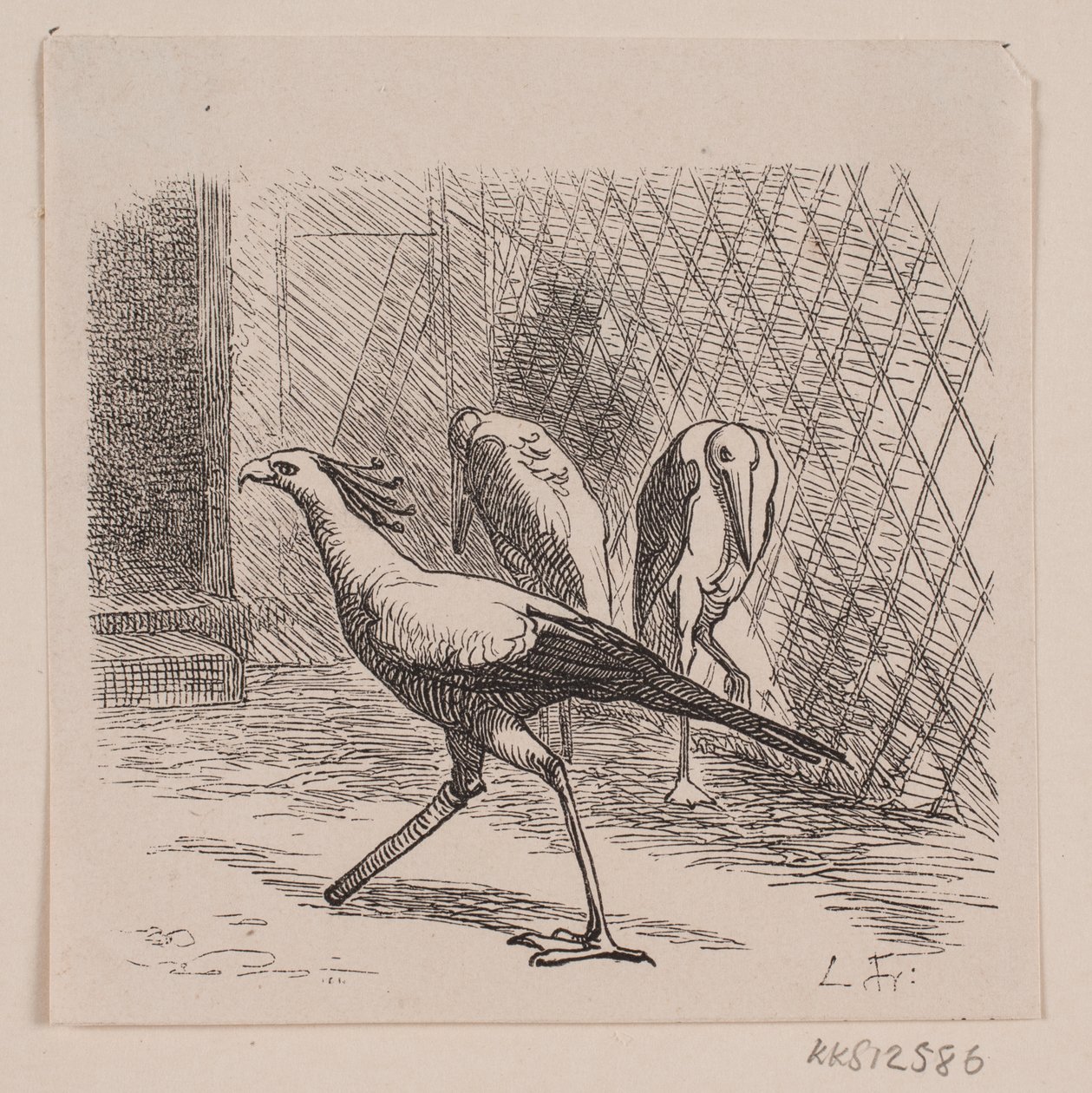 A Jardin des Plantes titkára alkotó: Lorenz Frølich