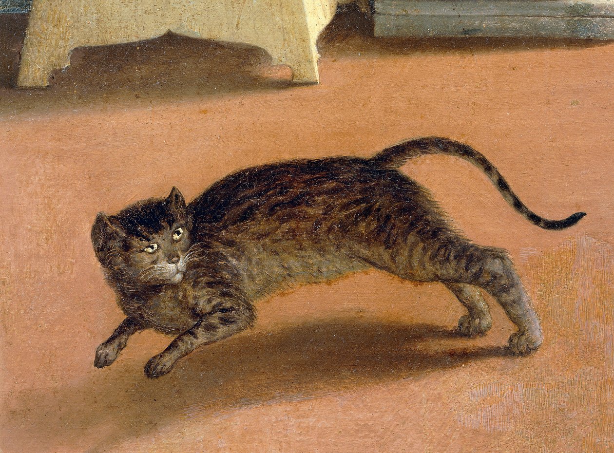 Rémült macska, részlet a Recanati Angyali üdvözletből, 1534 körül, Lorenzo Lotto (1480-1556), olaj, vászon alkotó: Lorenzo Lotto