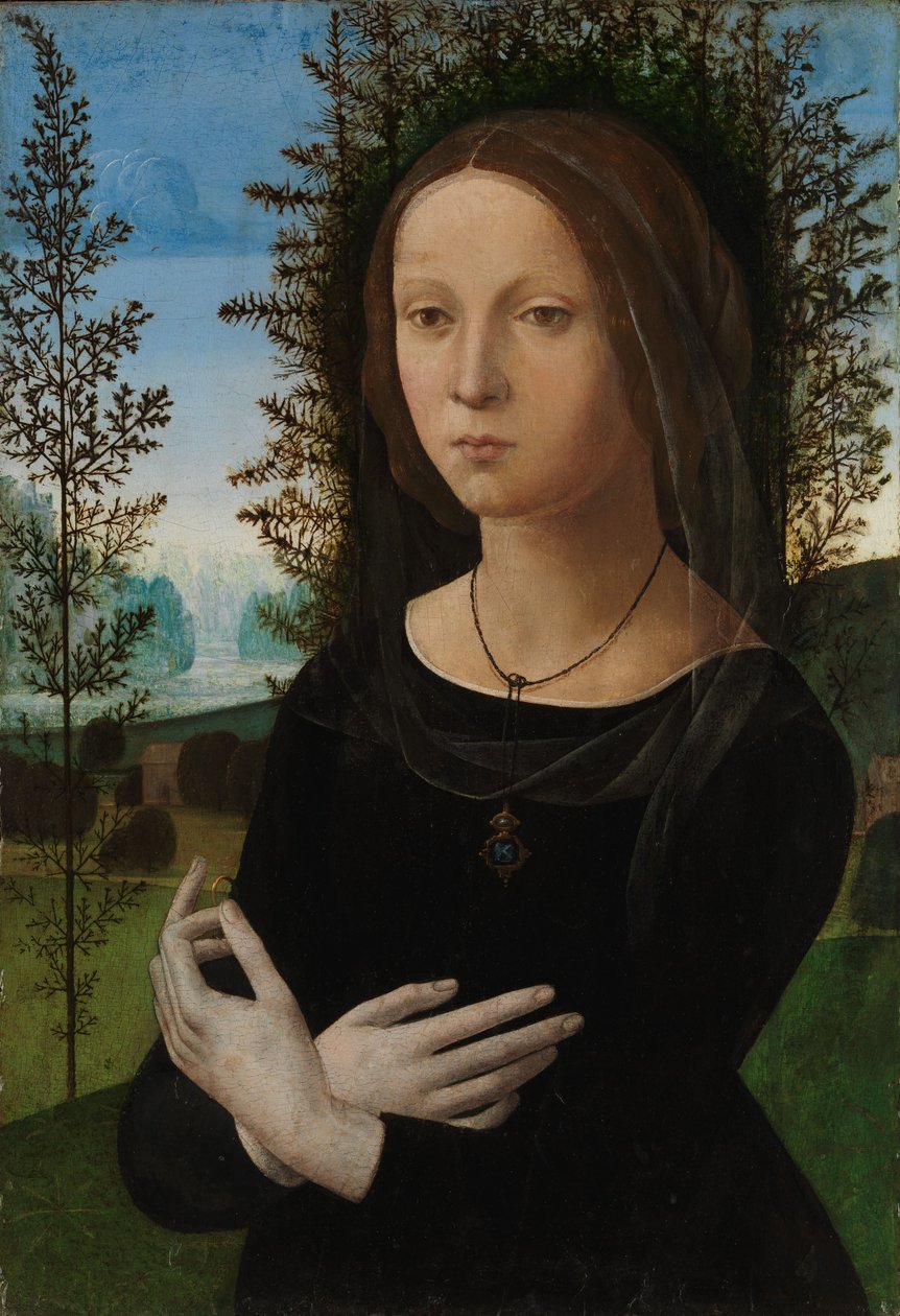 Fiatal nő portréja, 1475-80 körül (olaj, fa) alkotó: Lorenzo di Credi