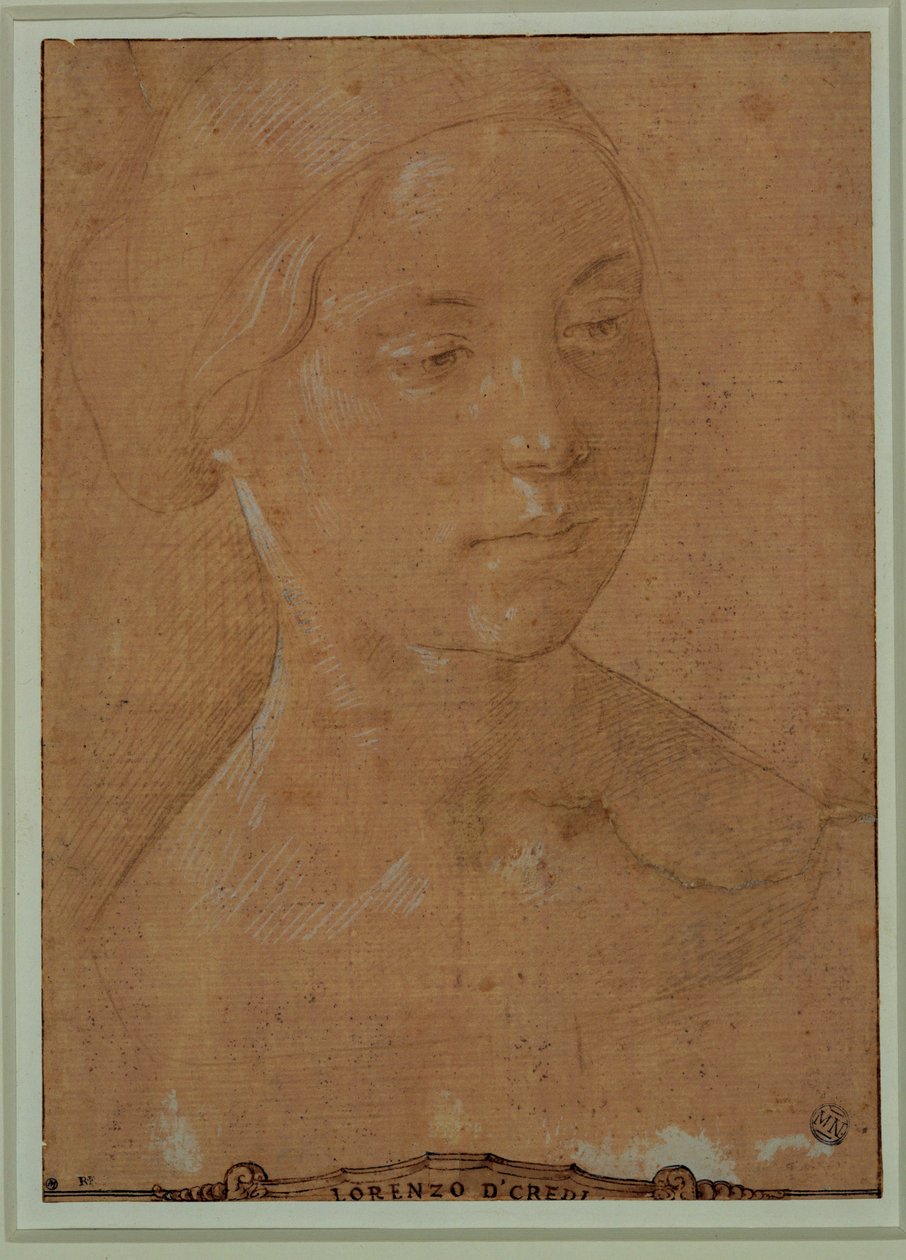 Női portré, háromnegyedes arccal, haját hálóba fogva ... alkotó: Lorenzo di Credi