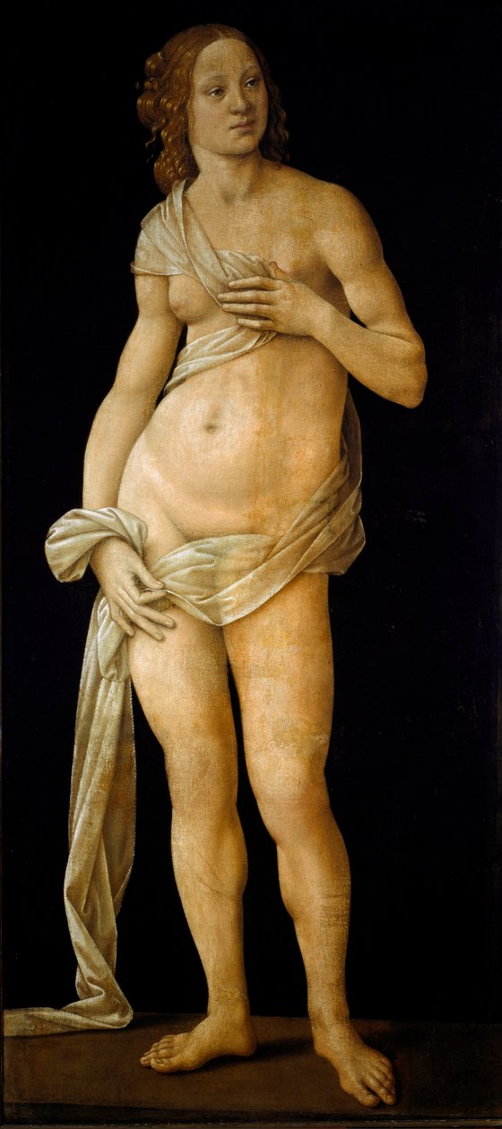 Vénusz (tempera fán, 1490 körül) alkotó: Lorenzo di Credi