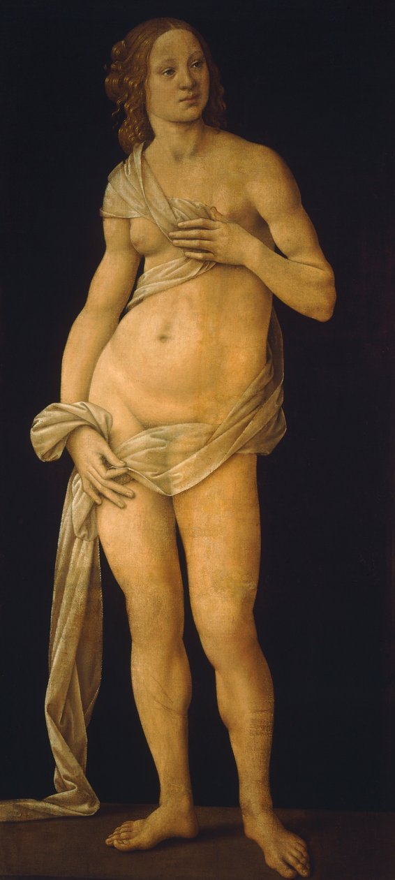 Vénusz alkotó: Lorenzo di Credi