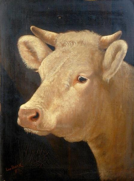 Egy tehén feje alkotó: Lou Burk