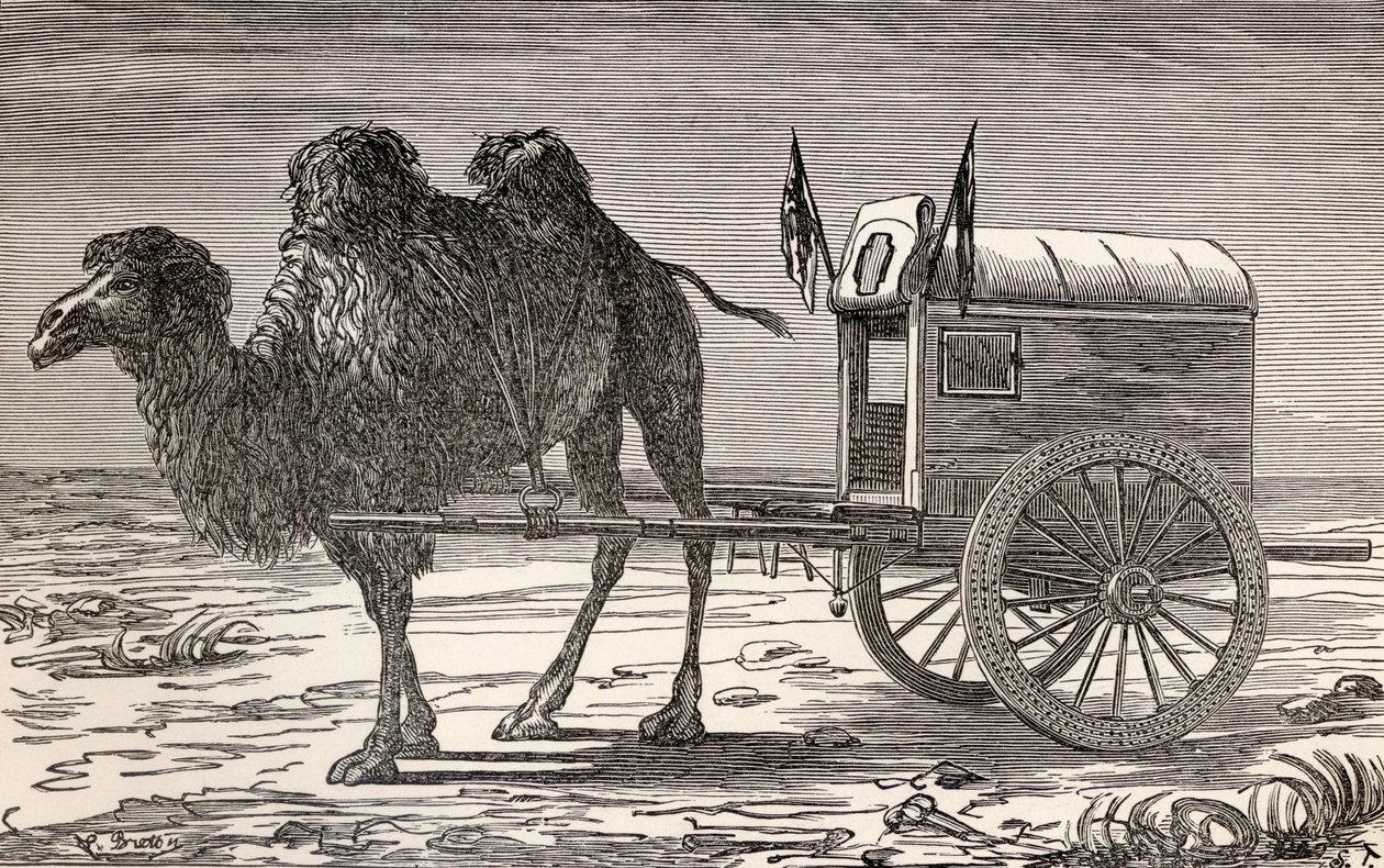 Egy teve, aki hintót húz az ázsiai Góbi-sivatagon keresztül, Victor Meignan „Párizsból Pekinbe a szibériai havakon”, metszett Smeeton-Tilly (Burne Smeeton (fl. 1840-60) és Auguste Tilly (18. sz.) alkotó: Louis Breton