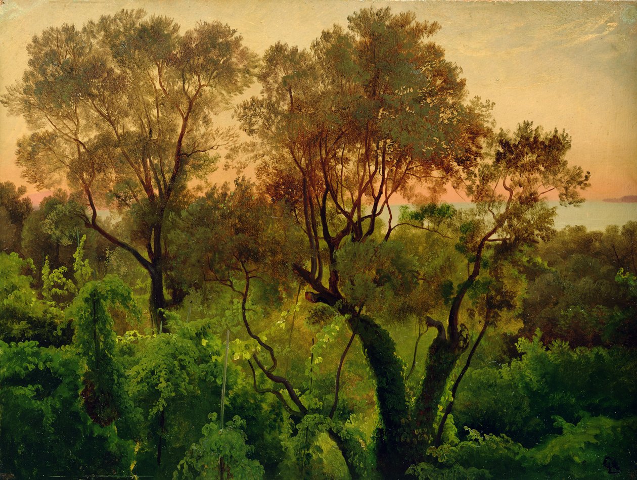 Lejtő olajfákkal (olaj, papír a panelen) alkotó: Louis Gurlitt