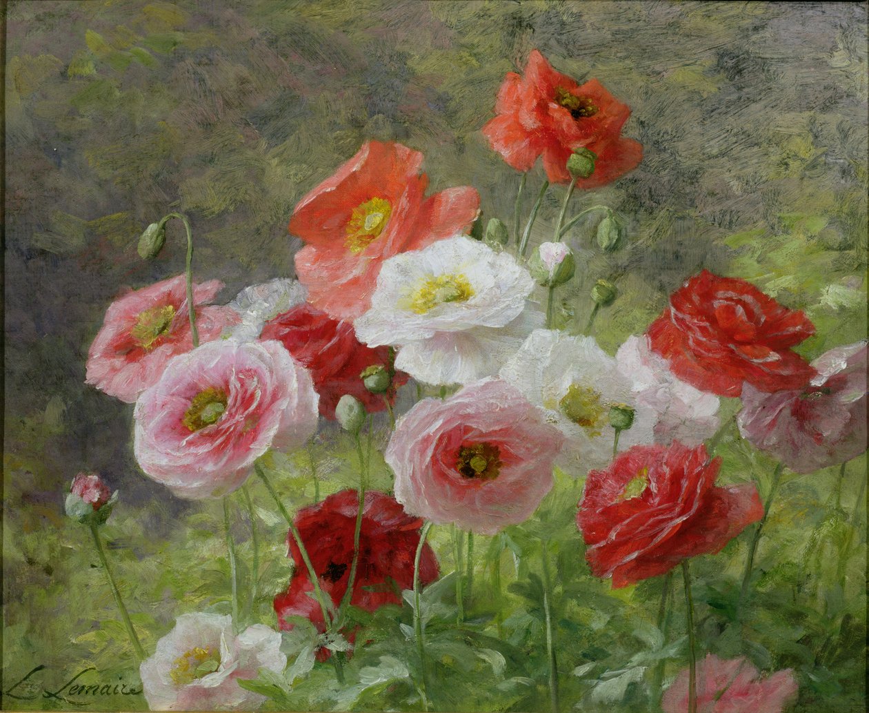 Pipacsfürt, 1884 alkotó: Louis Marie Lemaire