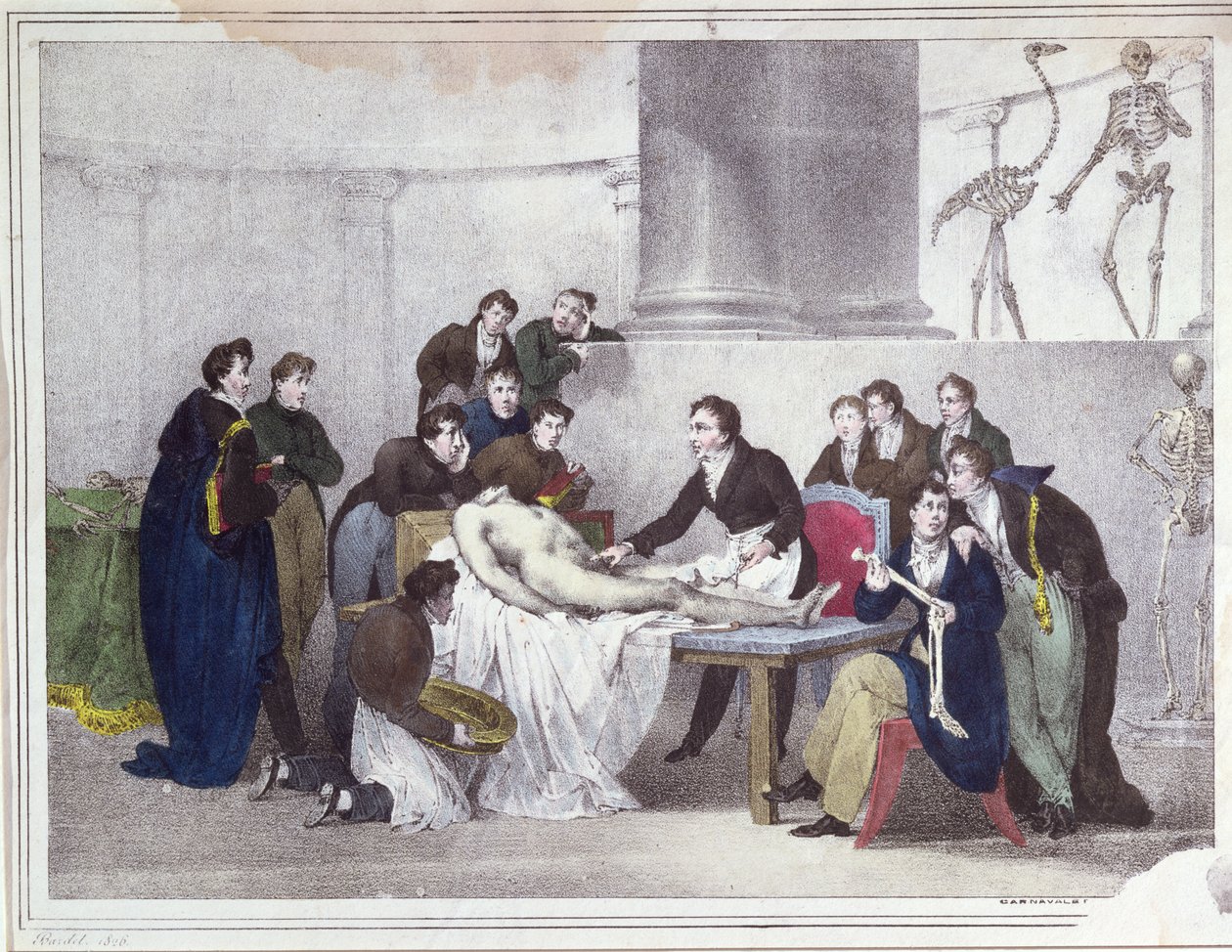 Az anatómia lecke, 1826 alkotó: Louis Thomas Bardel