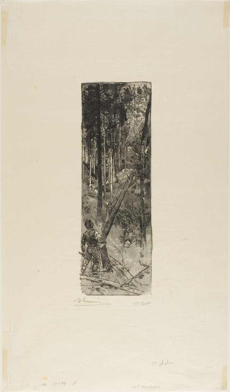 Falling Pines alkotó: Louis Auguste Lepère