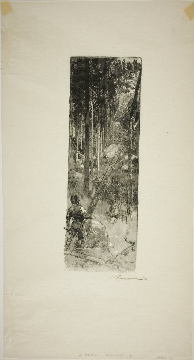 Falling Pines alkotó: Louis Auguste Lepère